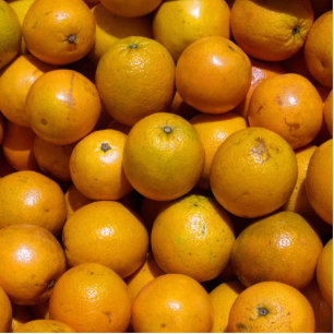 Photo Sculpture Oranges fruits Floride marché orange