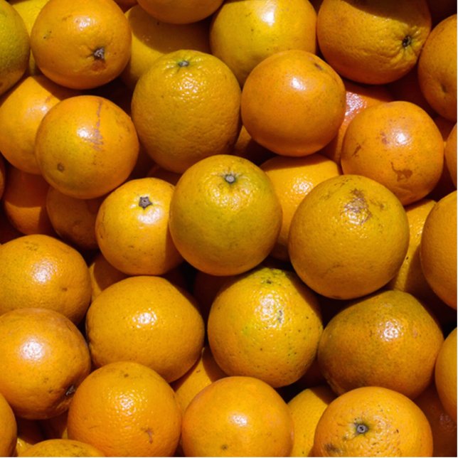 Photo Sculpture Oranges fruits Floride marché orange (Devant)