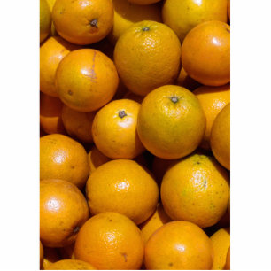 Photo Sculpture Oranges fruits Floride marché orange