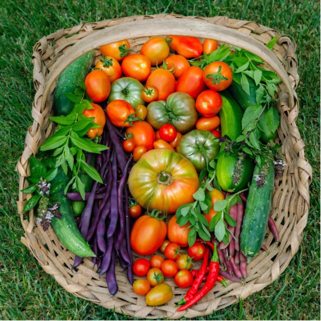 Photo Sculpture Panier de récolte de légumes (Devant)