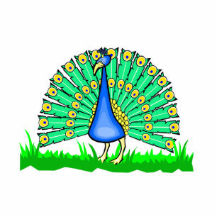 Photo Sculpture Paon de Pascal