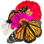Photo Sculpture Papillons Monarque et fleurs Sculpture<br><div class="desc">Un bel ajout à votre table ou étagère. Les monarques nous rappellent que Dieu est avec nous et en contrôle. Faites confiance à Dieu.</div>