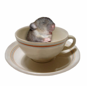 Photo Sculpture Pas jusqu'à ce que j'ai eu ma sculpture en photo