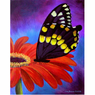 Photo Sculpture Peinture noire de marguerite de papillon - multi