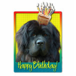 Photo Sculpture Petit gâteau d'anniversaire - Terre-Neuve<br><div class="desc">Célébrez un anniversaire avec cette carte de voeux lunatique de chien de Terre-Neuve. Le petit gâteau étant équilibré là-dessus est la tête, cette conception est sûre d'apporter un sourire et rit nerveusement ! Le BTW, cette conception a plusieurs versions, avec différentes couleurs d'arrière - plan. Il y a également une...</div>
