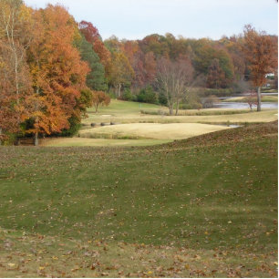 Photo Sculpture Photo d'automne du golf.