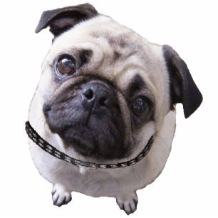 Photo Sculpture Photo-figure "Mops"