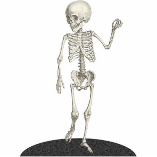 Photo Sculpture Photosculpture découpée de squelette enfant 5x7