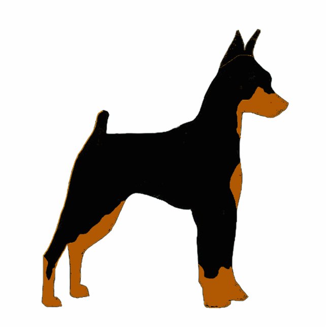 Photo Sculpture pin principal noir et soie rouille (Devant)