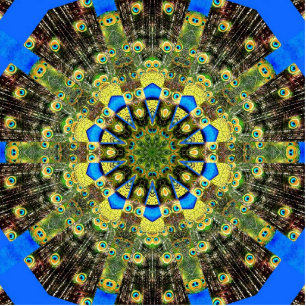 Photo Sculpture Plumes de paon Kaleidoscope 1