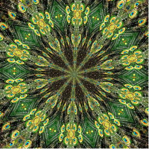 Photo Sculpture Plumes de paon Kaleidoscope 2
