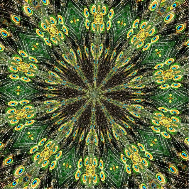 Photo Sculpture Plumes de paon Kaleidoscope 2 (Devant)