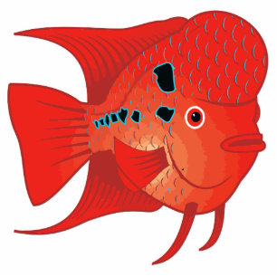 Photo Sculpture Poissons rouges de Flowerhorn