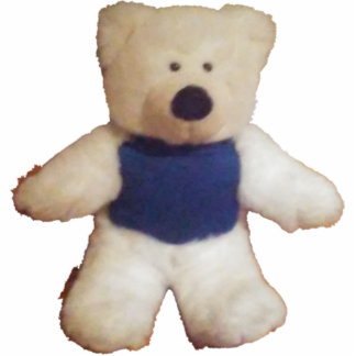 Photo Sculpture Polaire