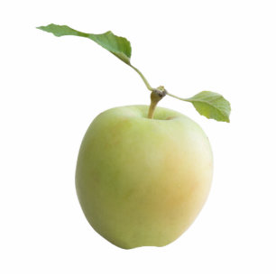 Photo Sculpture Pomme verte