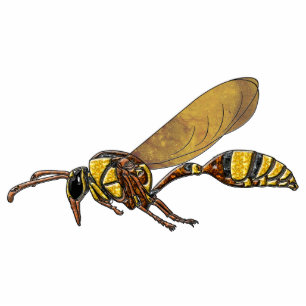 Photo Sculpture Potter Wasp