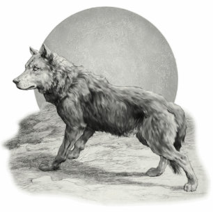 Photo Sculpture Profil de Wolf Moon