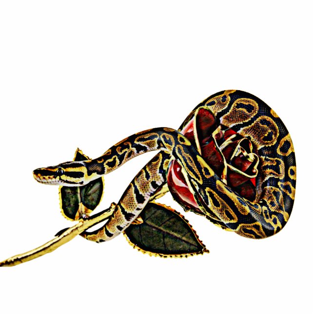 Photo Sculpture Python de sculpture en photo de serpent (Devant)