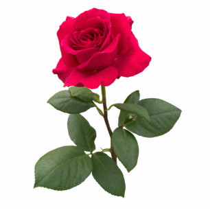 Photo Sculpture Rouge