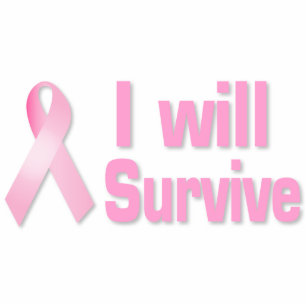 Photo Sculpture Ruban rose