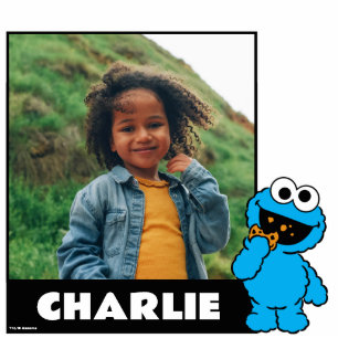 Photo Sculpture Rue Sésame Cookie Monster