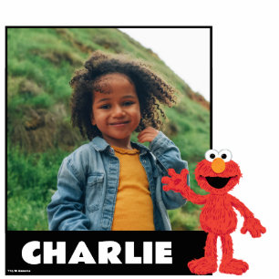 Photo Sculpture Rue Sésame Cookie Monster