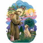 Photo Sculpture Saint Francis et le Labrador jaune<br><div class="desc">Saint François,  le saint patron des animaux,  est montré ici bénissant un Labrador Retriever jaune. (La figure de Saint François a été adaptée du chef-d'oeuvre de Saint François du XIVe siècle par Giotto.</div>