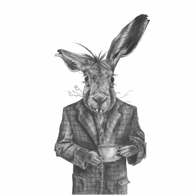 Photo Sculpture Sculpture Alice en photo de lièvres de mars au (Devant)