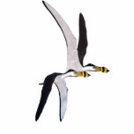 Photo Sculpture Sculpture Anhanguera Gregory Paul en photo de<br><div class="desc">Sculpture en photo pterosaur peint Anhanguera de Gregory Paul de grand.</div>