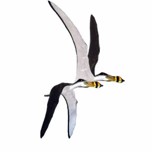 Photo Sculpture Sculpture Anhanguera Gregory Paul en photo de