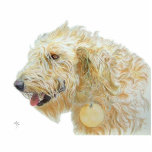 Photo Sculpture Sculpture crème en Labradoodle<br><div class="desc">Labradoodle crème</div>
