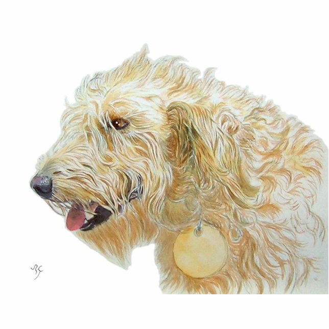 Photo Sculpture Sculpture crème en Labradoodle (Devant)