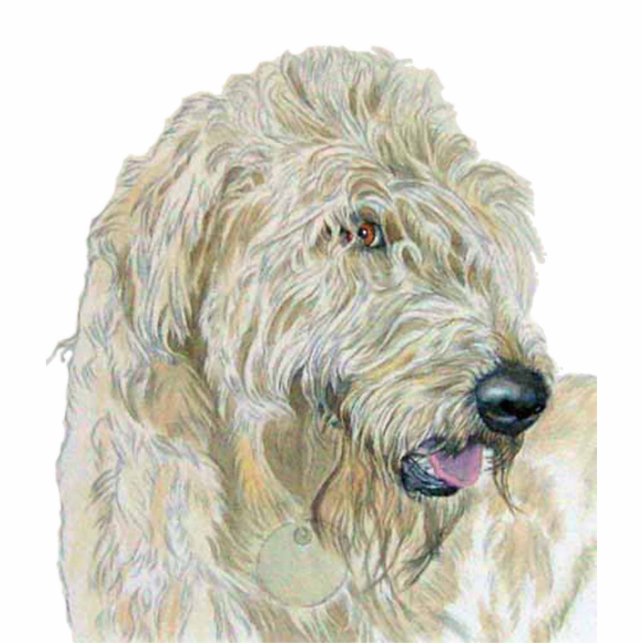 Photo Sculpture Sculpture crème en Labradoodle (Devant)