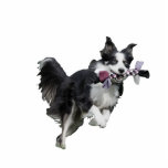 Photo Sculpture Sculpture de la photo de l'animal - Bordure Collie<br><div class="desc">Faites cette magnifique sculpture photo pour animaux de compagnie pour votre bureau en téléchargeant une photo de votre animal de compagnie. Peut être entièrement customisé pour répondre à vos besoins. © Gorjo Designs. Fait pour vous via la plateforme Zazzle. // Besoin d'aide pour customiser votre design ? Vous avez d'autres...</div>