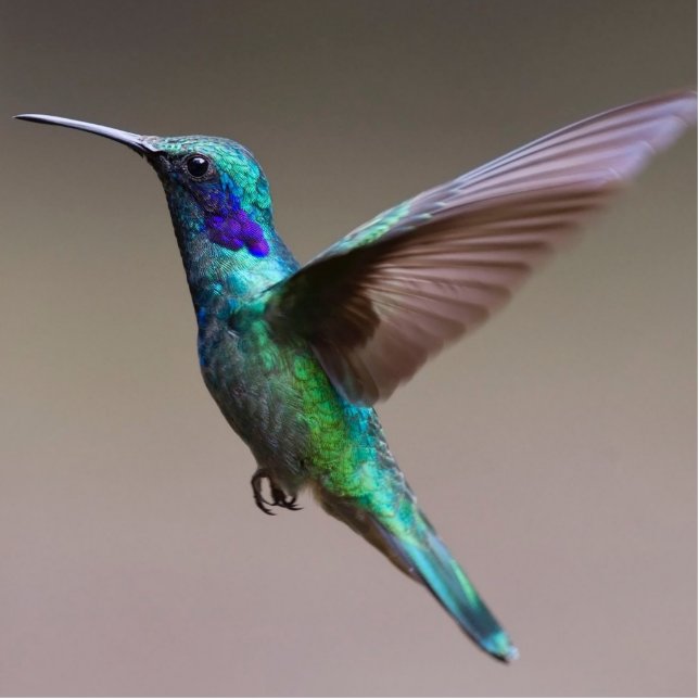 Photo Sculpture Sculpture d'oiseau bleu et vert volant (Devant)