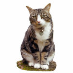 Photo Sculpture Sculpture en chat tigré<br><div class="desc">Sculpture mignonne en chat tigré à reposer sur votre bureau et pour vous rappeler votre animal familier préféré.</div>