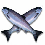 Photo Sculpture Sculpture en photo de croix de saumon de Coho<br><div class="desc">Sculpture en photo de croix de saumon de Coho</div>