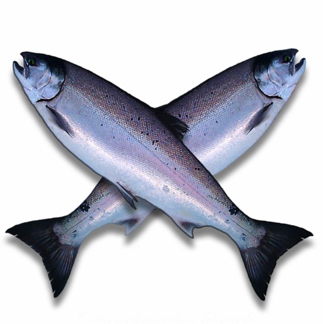 Photo Sculpture Sculpture en photo de croix de saumon de Coho (Devant)