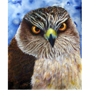 Photo Sculpture Sculpture en photo de faucon