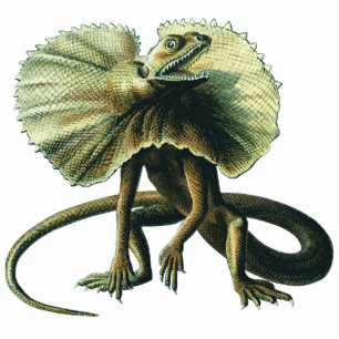 Photo Sculpture Sculpture en photo de lézard de Jésus