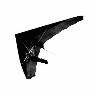 Photo Sculpture Sculpture en photo de planeur de coup