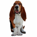 Photo Sculpture Sculpture en photo de portrait de chien de Basset<br><div class="desc">Beau portrait d'une sculpture en photo de chien de chasse de basset.  grande idée de cadeau pour des amoureux de les chiens</div>