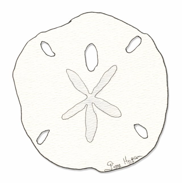 Photo Sculpture Sculpture en photo du dollar de sable (Devant)