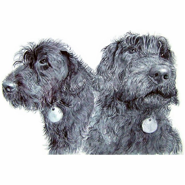 Photo Sculpture Sculpture noire en Labradoodles (Devant)
