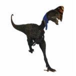 Photo Sculpture Sculpture Oviraptor Gregory Paul en photo de<br><div class="desc">Oviraptor,  un dinosaure bizarre de Mongolie.</div>