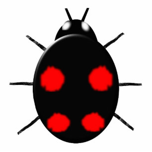 Photo Sculpture Sculpture photo Arlequin Ladybird