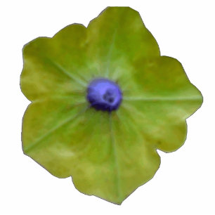 Photo Sculpture Sculpture photo Petunia Green et Blue