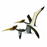 Photo Sculpture Sculpture Pterosaurs Gregory Paul en photo de<br><div class="desc">Cette sculpture en photo est du Quetzalcoaltus peint par Gregory S. Paul. En second lieu dans la ligne crétacée.</div>