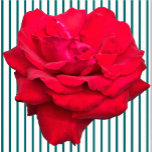 Photo Sculpture Sculpture simple rose rouge<br><div class="desc">Ce dessin unique Rose rouge de Zazzle et Elizabeth's Creative Poursuites comporte une seule rose rouge. Il est également disponible avec une seule rose jaune, une seule rose rose rose ou une seule rose blanche. Les roses rouges symbolisent l'amour et la passion, les roses jaunes symbolisent l'amitié, les roses roses...</div>