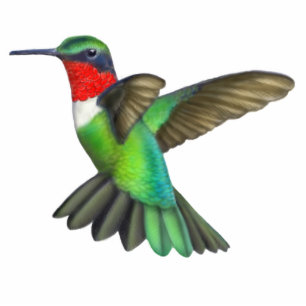 Photo Sculpture Sculpture Throated rouge en photo de colibri